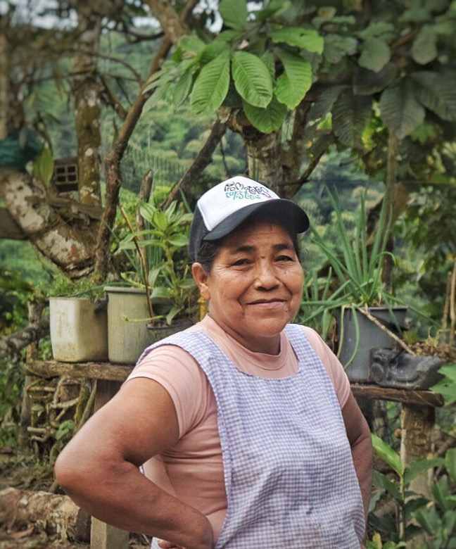 Donaciones en Colombia para el medio ambiente y turismo, ayudar a los campesinos en Colombia con donaciones en linea. Donations in Colombia for the environment and tourism, help farmers in Colombia with online donations