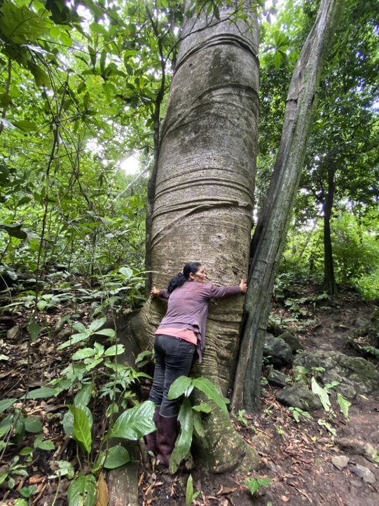 Donaciones en Colombia para el medio ambiente y turismo, ayudar a los campesinos en Colombia con donaciones en linea. Donations in Colombia for the environment and tourism, help farmers in Colombia with online donations